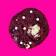 Chocolate Chip Cookie