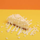 Milky Bar Cheesecake